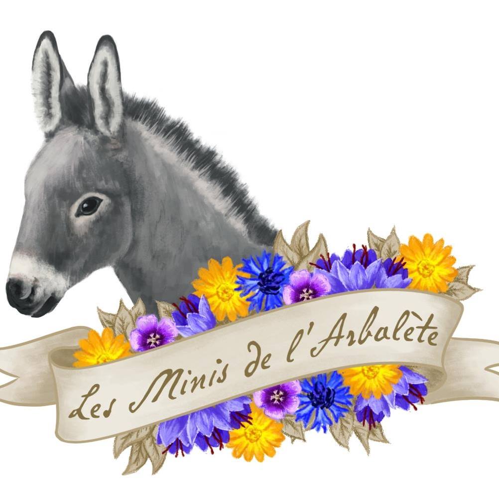 Les Minis de l'Arbalète Les Minis de l'Arbalète